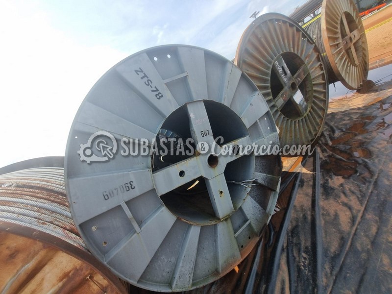 WhatsApp Image 2025-11-07 at 12.53.53 PM.jpg